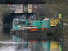 busy tree surgeons working on the side of the canal