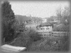 view from my window at dawlish road